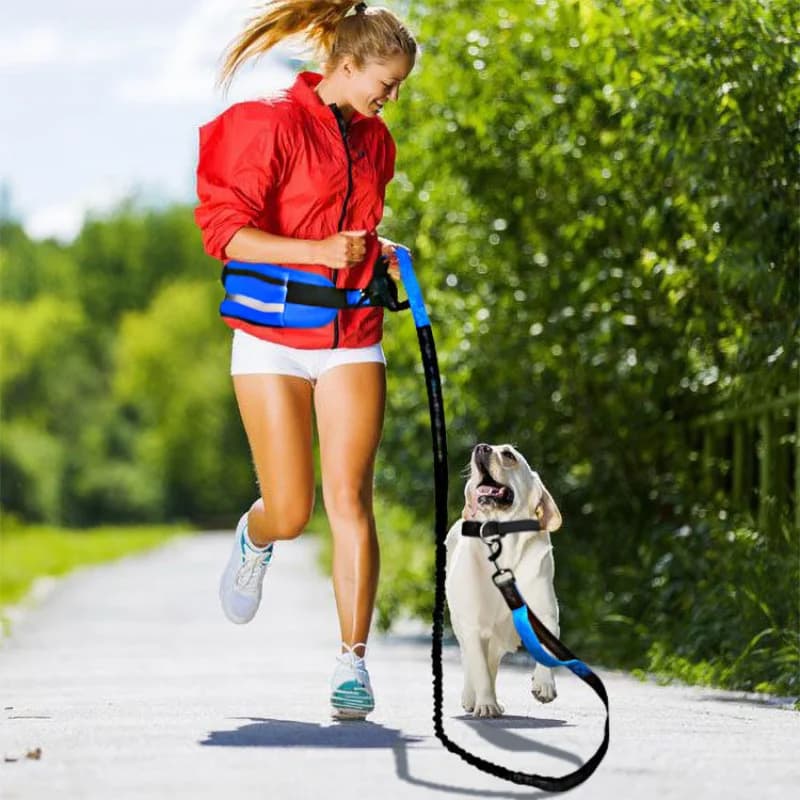 Hands Free Dog Leash Set Shock Absorbing Bungee Running Leash Adjustable Reflective Waist Belt With Storage Pouch For Small Medi