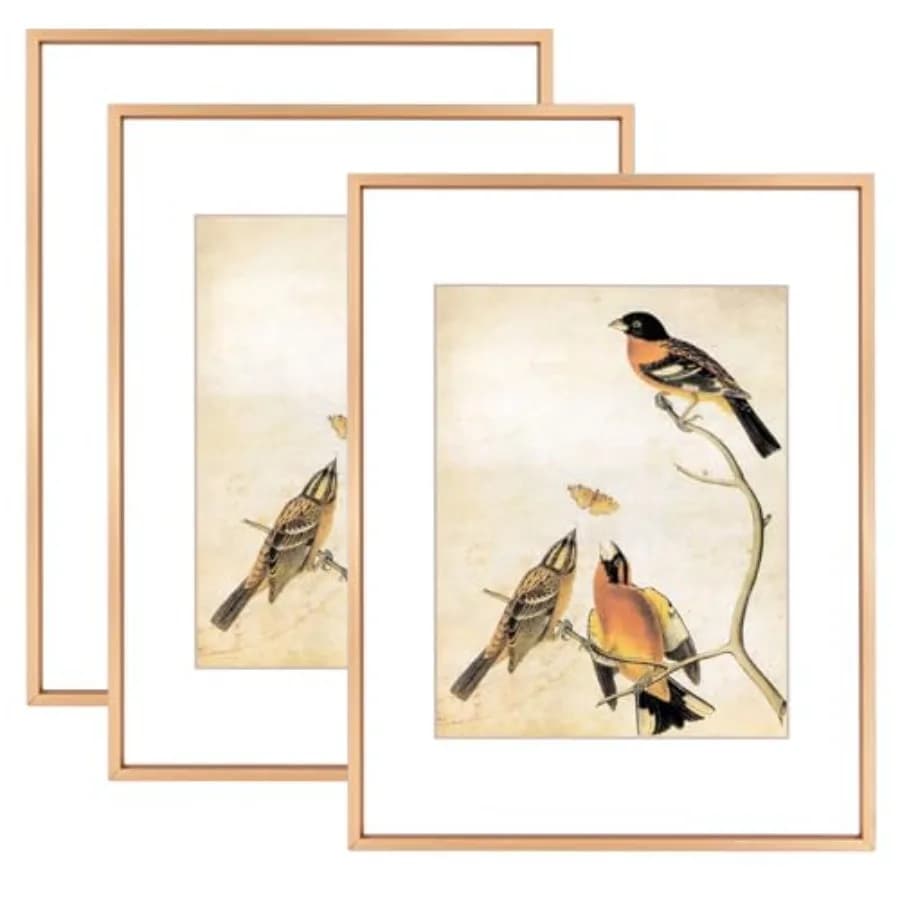 Set di 3 cornici per foto 11x14, cornici in metallo con vetro HD, adatte per 8x10 con passepartout o 11x14 senza passepartout, da appendere a parete