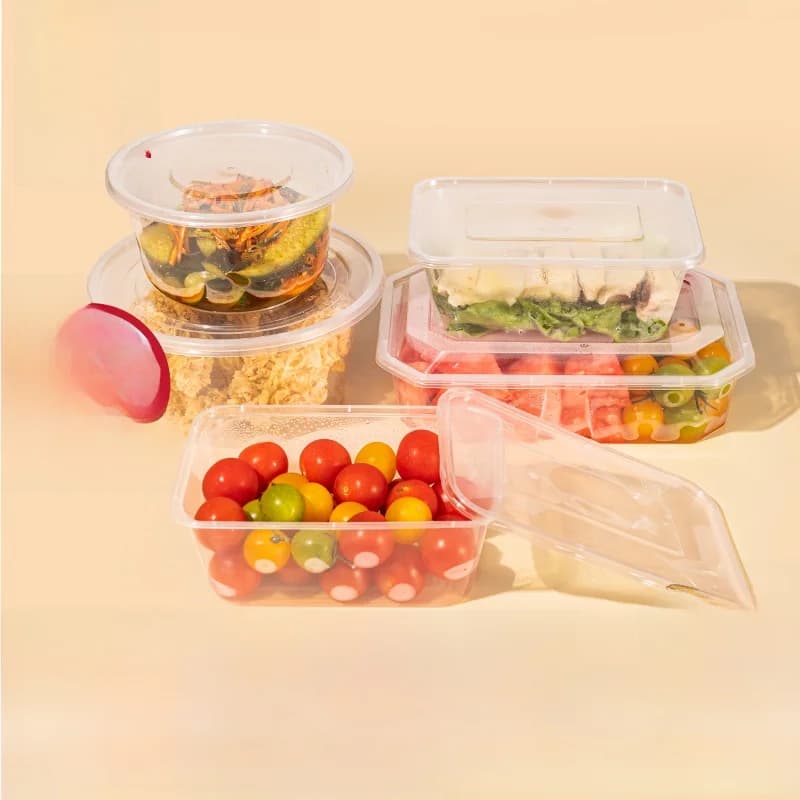Set di Contenitori per Alimenti Usa e Getta con Coperchio per Picnic, Campeggio, Asporto, Forma Rotonda, Non Biodegradabile, per Casa