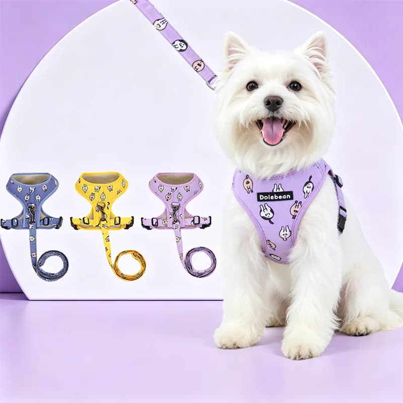 New cute printed pet dog harness and leash set, suitable for puppies, cats, and small to medium pets, puppy harness