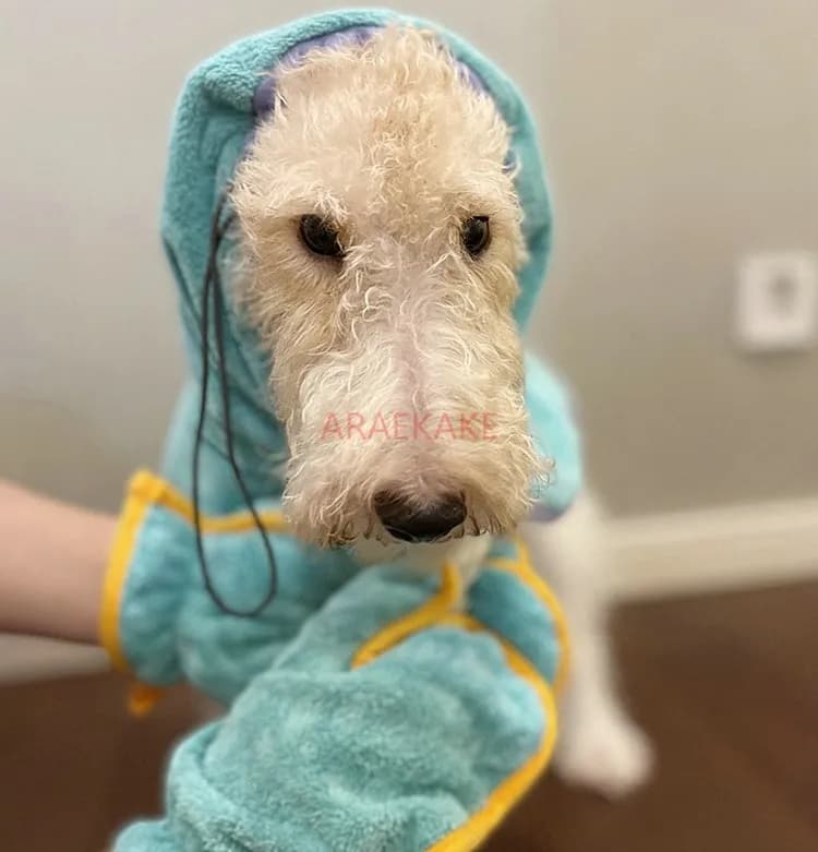 Bathrobe for pets, super absorbent, high aesthetic value, quick drying, absorbent towel, super drying, special for dogs, cats,
