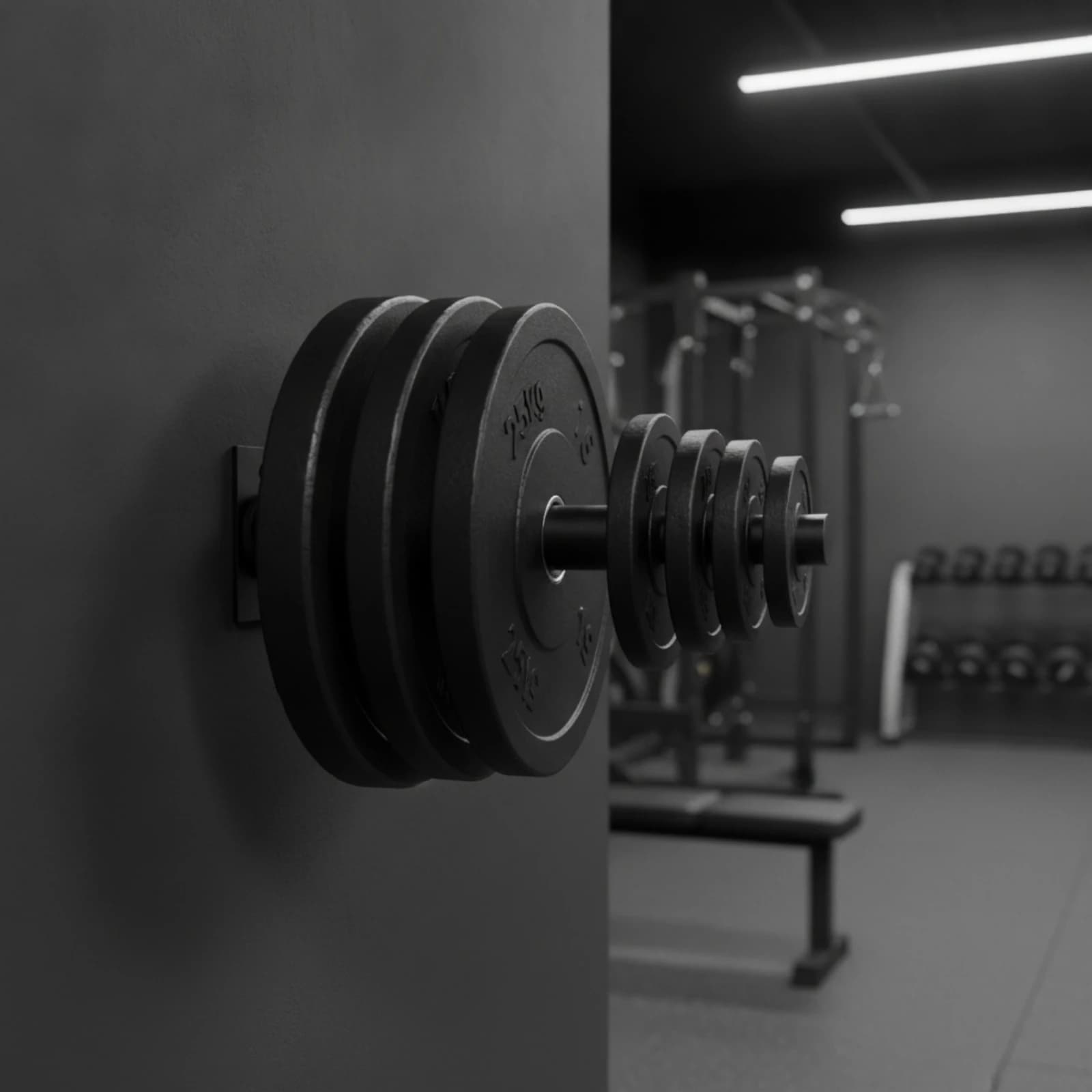 Wall-Mounted Weight Plate Holder Easy Installation Wall Mounted Plate Peg for Home Gym Owners, Fitness Studio