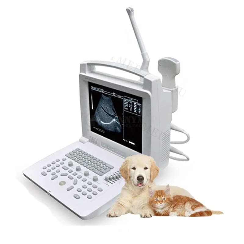 Scanner per ultrasuoni per laptop veterinario SY-A005 Scanner per ultrasuoni portatile completamente digitale da 12 pollici in bianco e nero