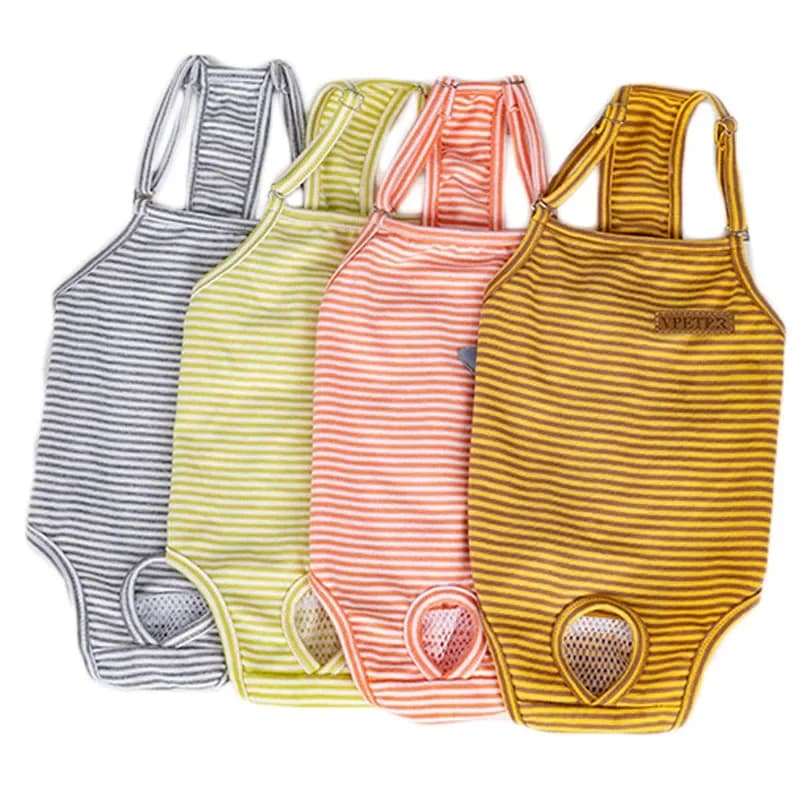 Women's Dog Diapers Physiological Pants Strips Cat Dog Mutandine Shorts Intimo Cucciolo Menstruazione Slip Supplies S-XL