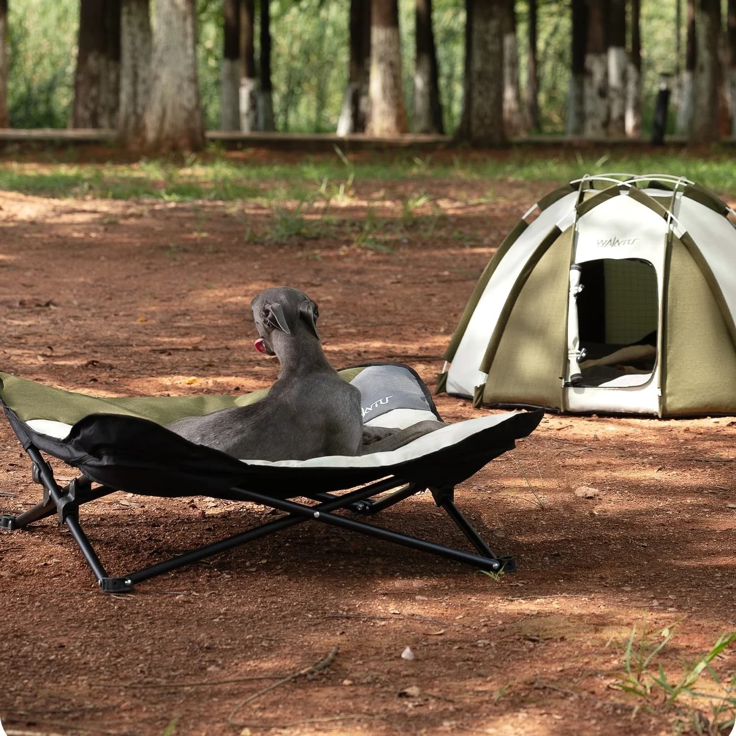 Lettino pieghevole per animali domestici Lettino per cani da esterno portatile Lettino rialzato per animali domestici Letto rialzato impermeabile Letto per amaca per animali domestici per il cortile di campeggio