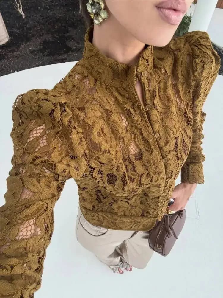 Nuova Camicia in Pizzo Trasparente Primavera 2026, Blusa da Donna con Collo Tondo, Maniche Lunghe e Bottoni, Moda Femminile