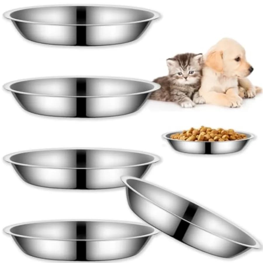 Set di 4 Ciotole per Gatti - Ciotola per Cibo da 6,1 Pollici in Acciaio Inox per Gatti da Interno, Piatto Poco Profondo e Largo per Cibo Umido