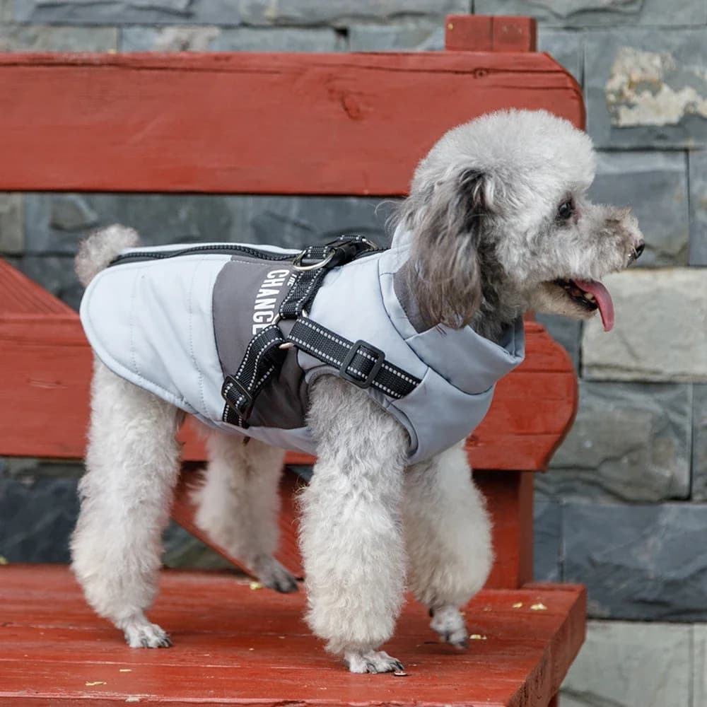 Giacca per gilet per animali domestici Giacca antivento per cani con guinzaglio doppio D Felpa con cappuccio per cani calda Vestiti caldi Dropshipping all'ingrosso
