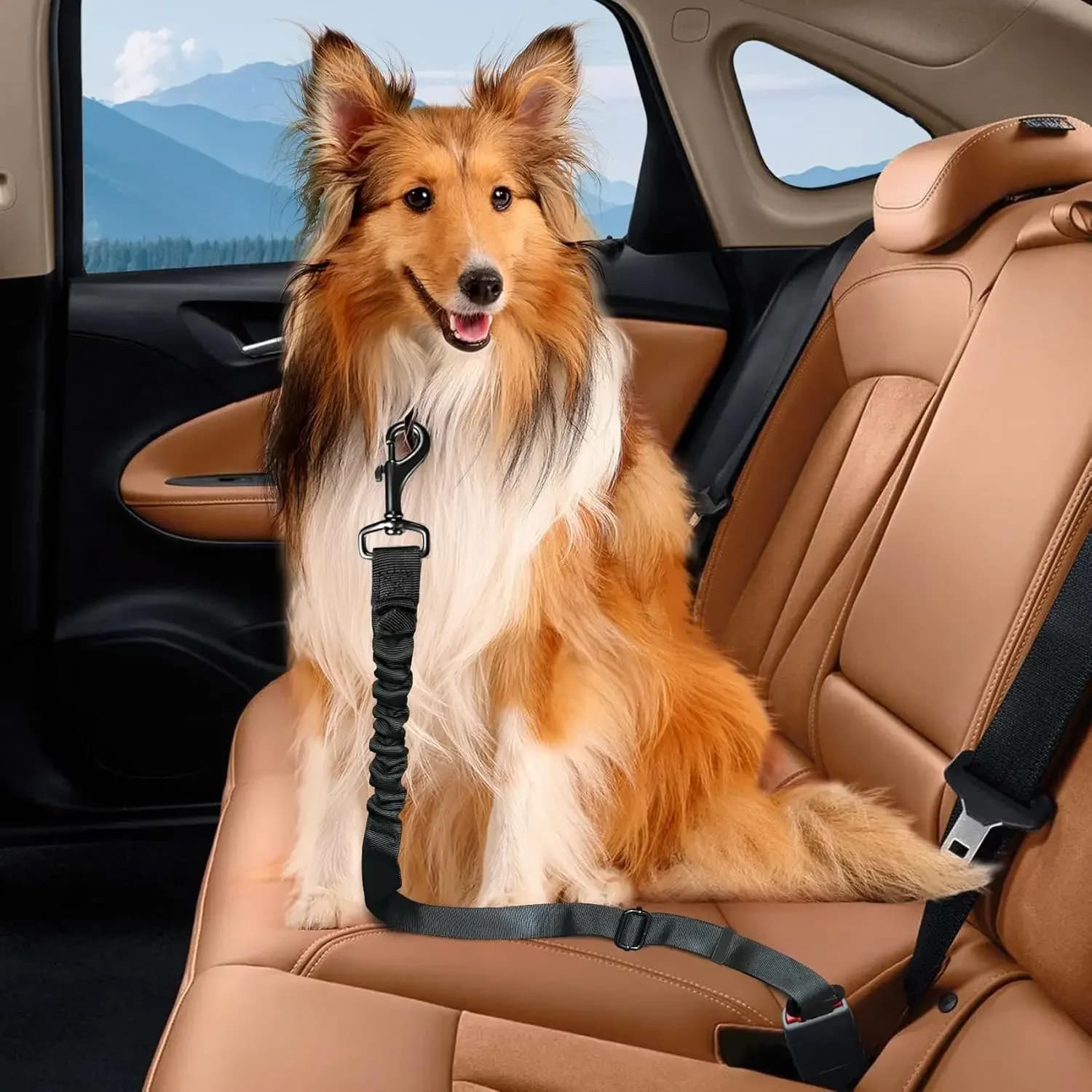 Cintura di Sicurezza Retrattile per Cani, Imbracatura per Auto Resistente e Regolabile, Guinzaglio Elastico per Cani di Piccola, Media e Grande Taglia