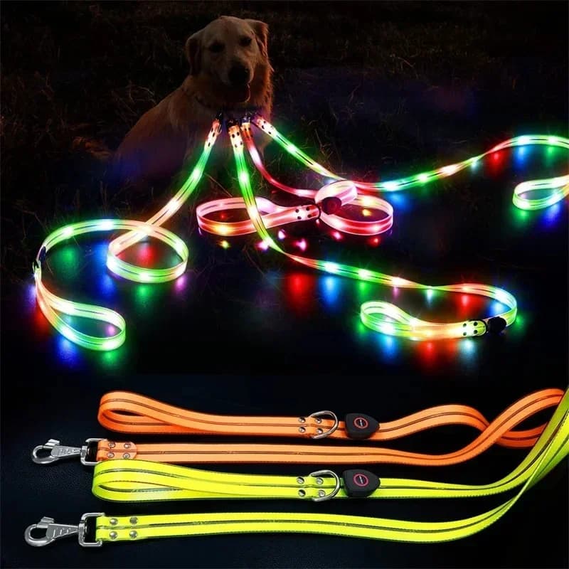 Guinzaglio per Cani Luminoso a LED, Sicurezza per Passeggiate, Ricaricabile USB, Regolabile per Cani Grandi, Medi e Piccoli, Collare Luminoso per Animali Domestici