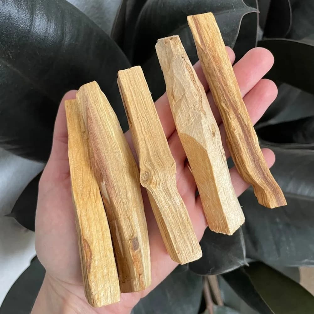 Bouquet di 1-10 bastoncini di Palo Santo per incenso, elimina l'energia negativa, bastoncini di salvia bianca, materiali antichi, purifica l'aria, cura la mente
