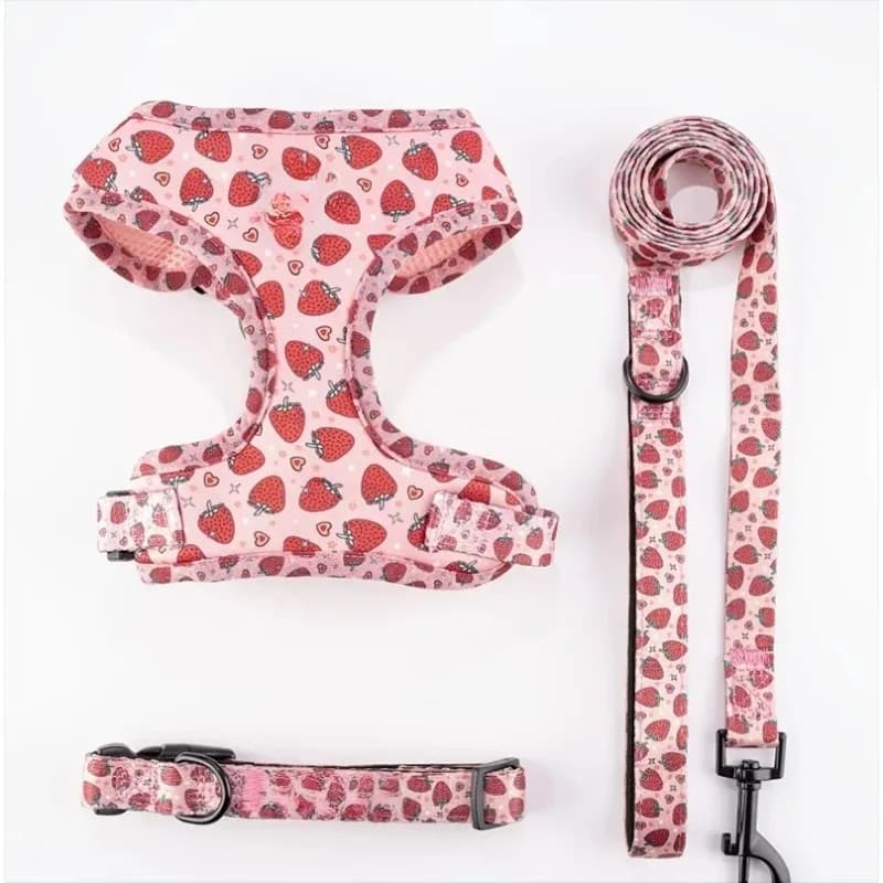 Set Pettorina e Guinzaglio per Cani, Include Collare e Cintura, Accessori per Cuccioli, Teddy Bear, Bulldog Francese