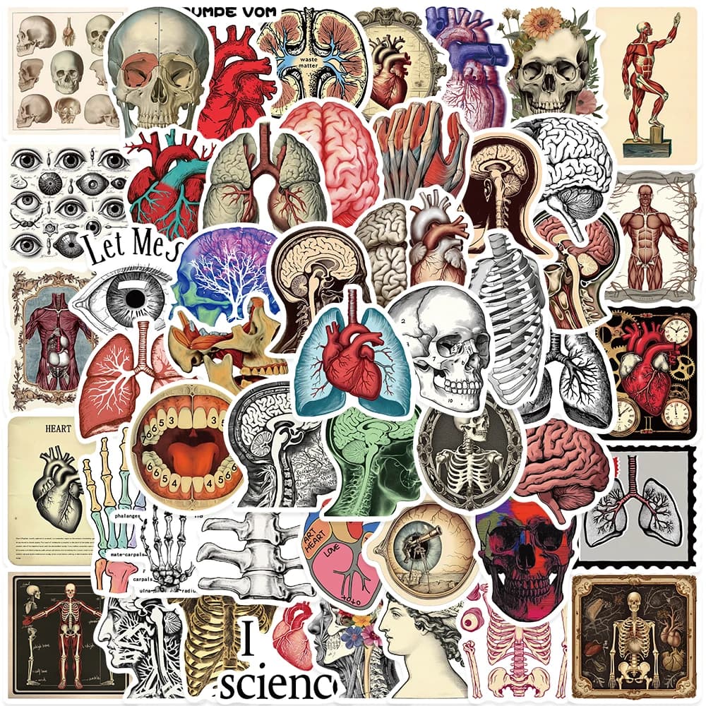 50 pezzi retrò estetica anatomia scientifica adesivi organi umani decalcomanie in vinile per laptop bottiglia d'acqua bagagli notebook graffiti