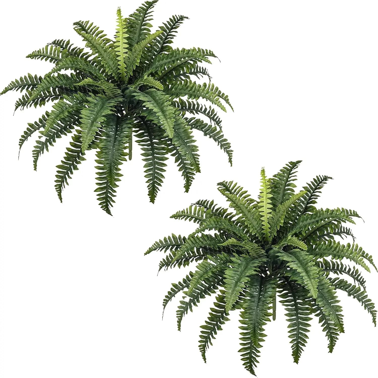 Artificial Ferns from 35 Inches, Large Plants at Stelo, 2 Boston Artificial Felches with 39 Outer Leaves and Home