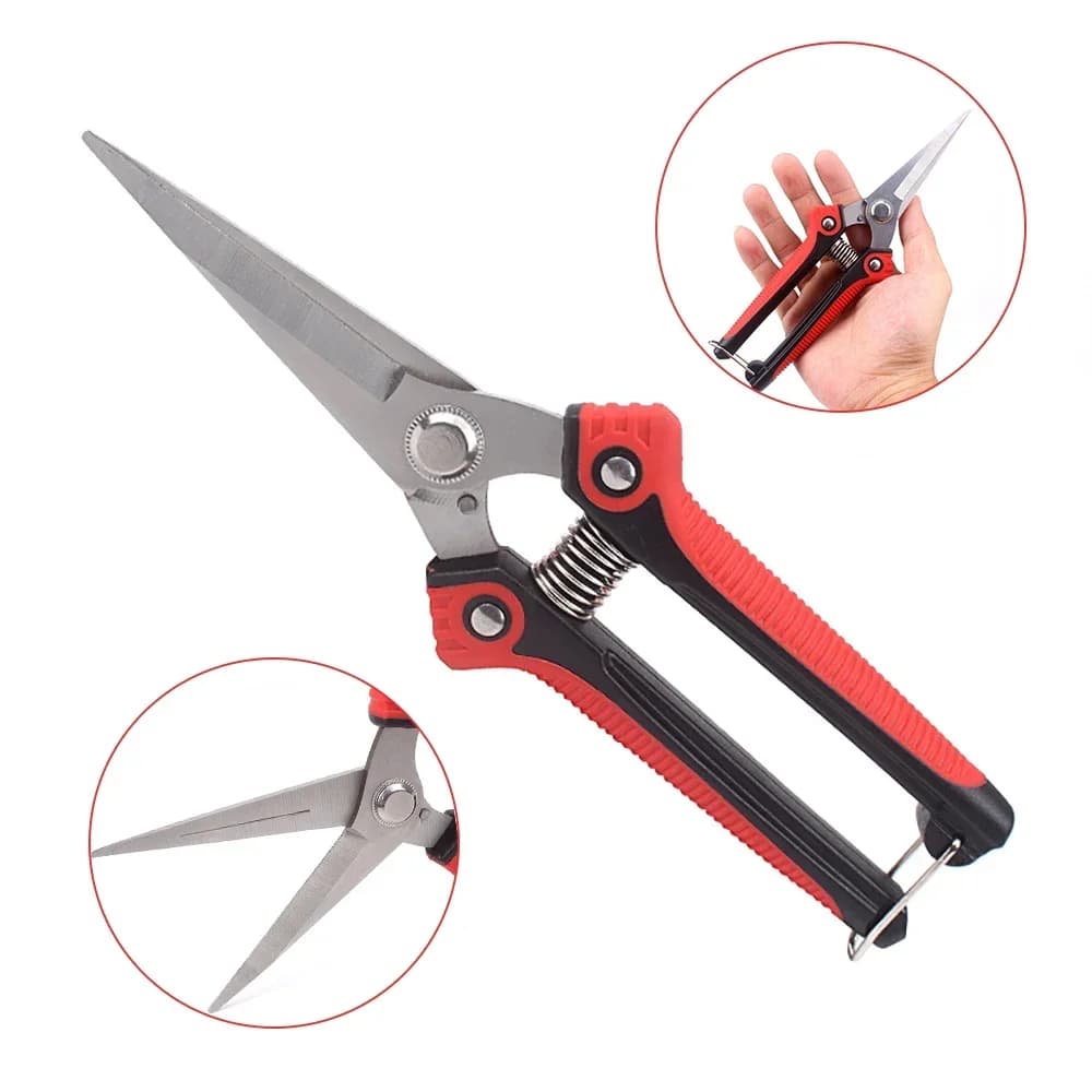 RDDSPON pruning shears Shears for branches Stainless steel non-slip handle Sharpening power for garden fruit trees Very sharp garden tools