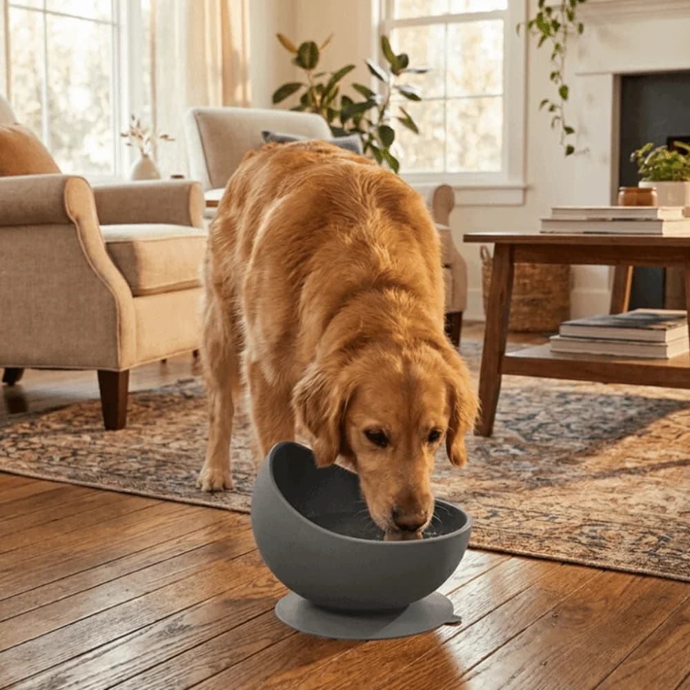 Pet Food Dispenser Non-Slip Silicone Pet Bowl Neck Protection Anti-Tipping Elevated Feeder Suction Cups Dog Food Bowl Pet Dining
