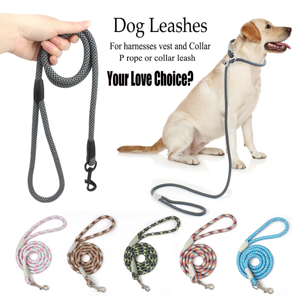 Collare e guinzagli classici per cani, 2 pollici 1, corda P in rete nera, guinzaglio in nylon, cinghia antiscivolo regolabile, imbracatura per cani da addestramento, piombo