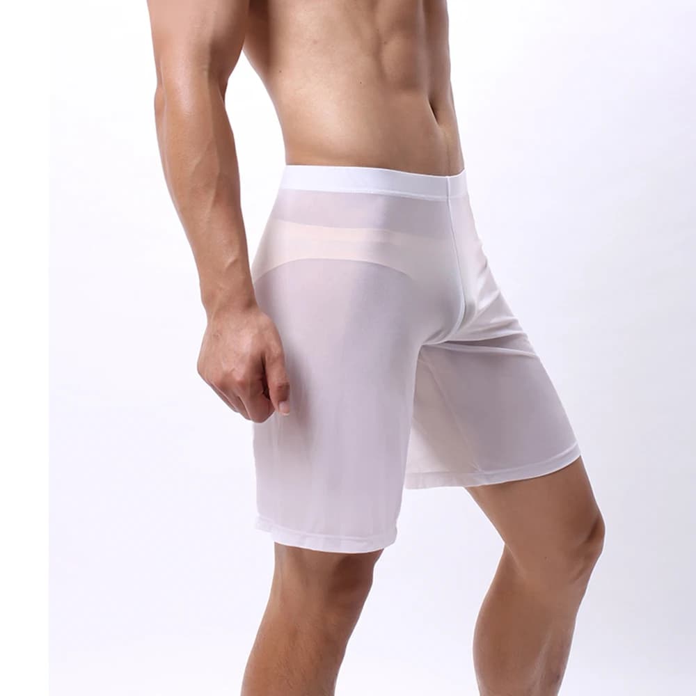 Boxer da uomo Gamba lunga Tronchi in rete trasparente traspirante Allenamento sportivo Boxer ad asciugatura rapida Pantaloni trasparenti Abbigliamento sportivo