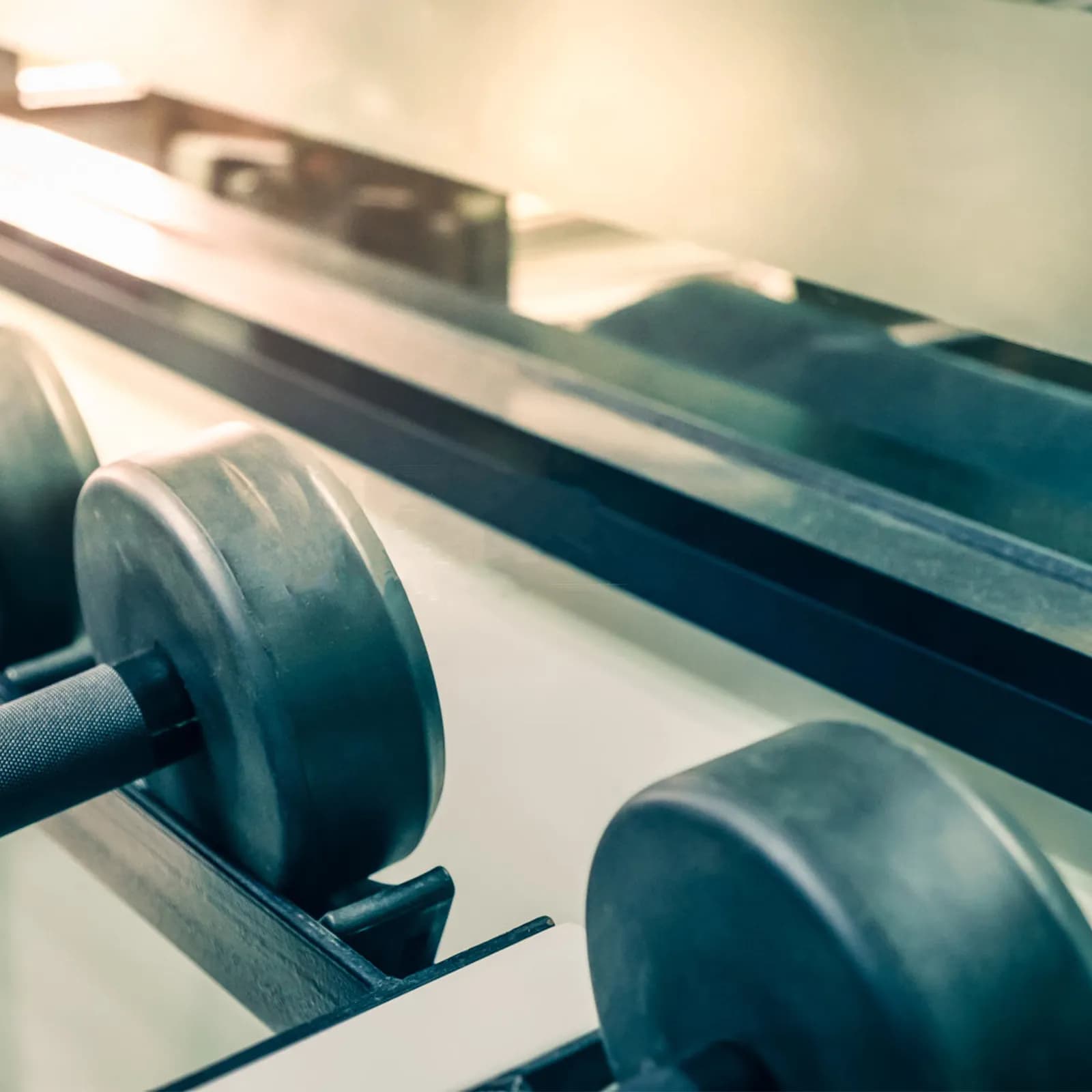 2 Pezzi Supporto Stabile in Gomma per Manubri, Organizzatore per Palestra Domestica, Porta Attrezzatura Fitness