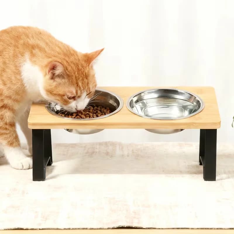 Ciotole per Gatti, Dispenser di Cibo per Animali Domestici 15 ° Ciotole Rialzate Inclinabili per Gatti con Supporto in Legno, 2 Ciotole in Acciaio Inossidabile per Gatti
