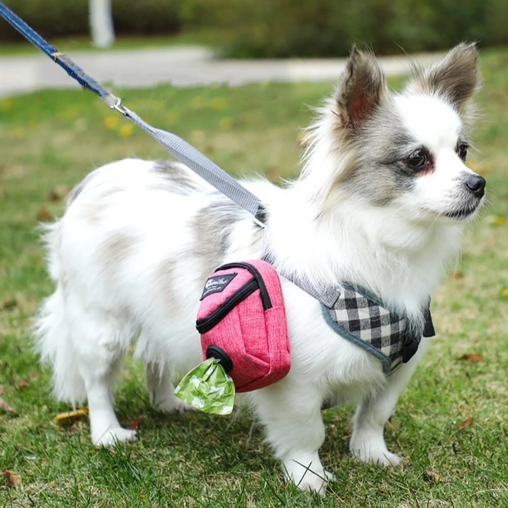 Borsa Portatile per Addestramento Cani, Porta Snack e Dispenser per Sacchetti Igienici, Multifunzione e Resistente