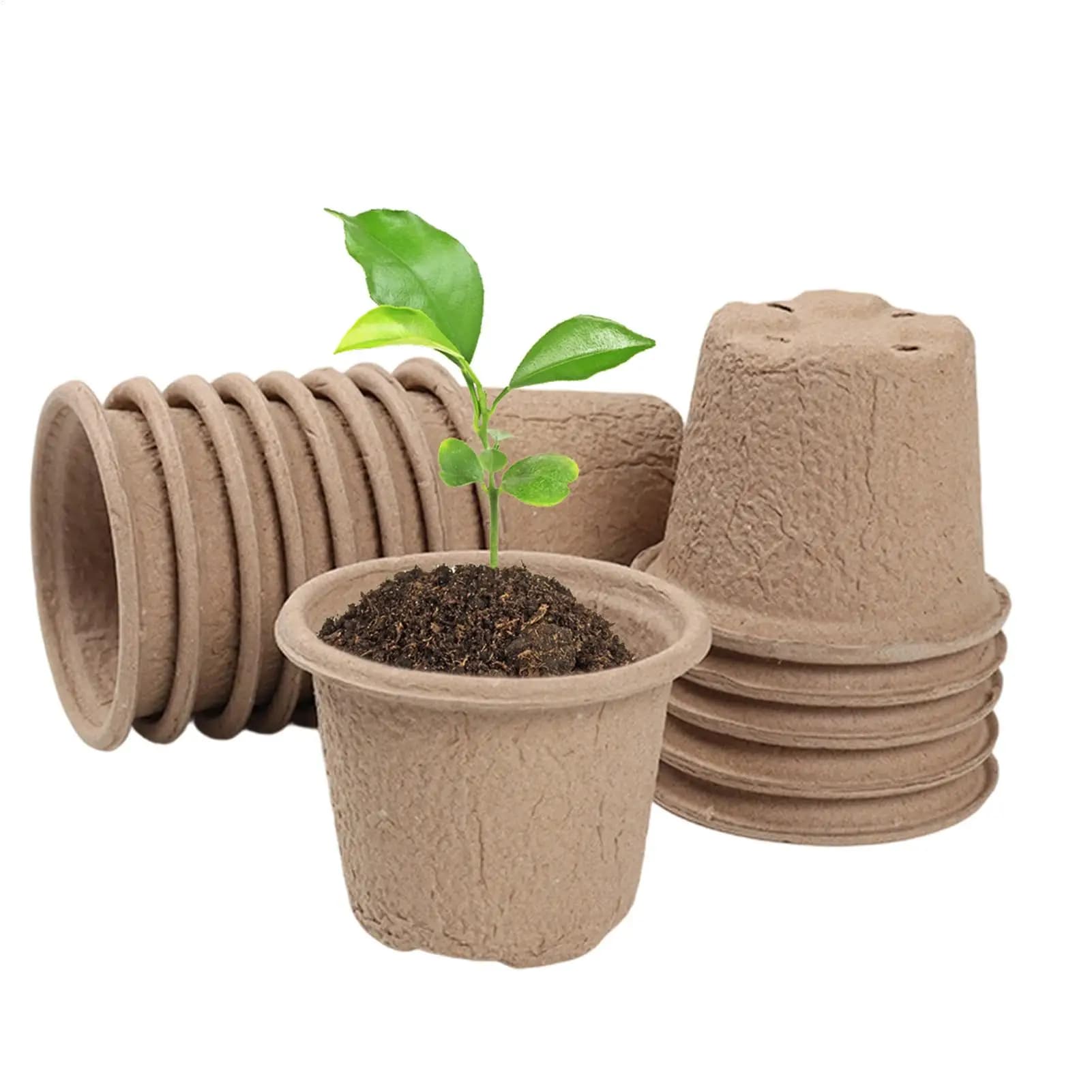 50 Vasi per Semina con Fori di Drenaggio, Ecologici e Traspiranti, Vasi da Vivaio per Piante da Giardino, Vassoi per Piantine di Fiori e Verdure
