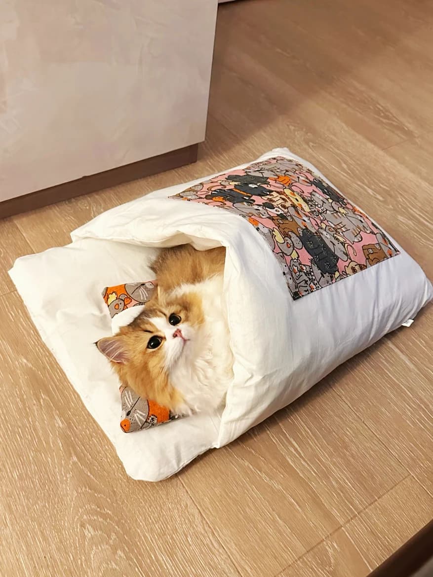 Cute Bed Bag Soft Warm Detachable Washable Semi-Closed Design Couch Dog Bed Mat for Winter Indoor Cartoon Pattern
