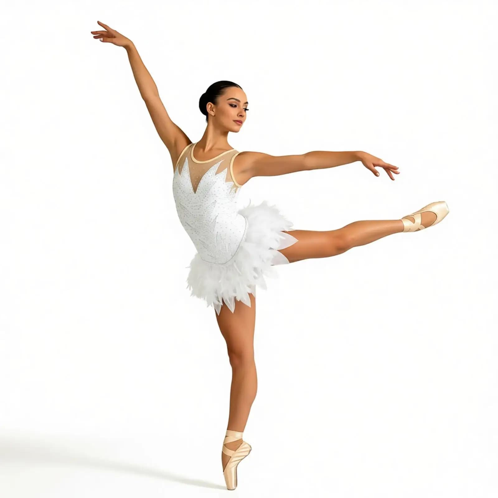 Fuzzy Feather Tutu Ballet Swan Lake Ballerina Pancake Tutu Women Adult Ballet Figure Skating Dance Costumes Leotard Tutu Dress