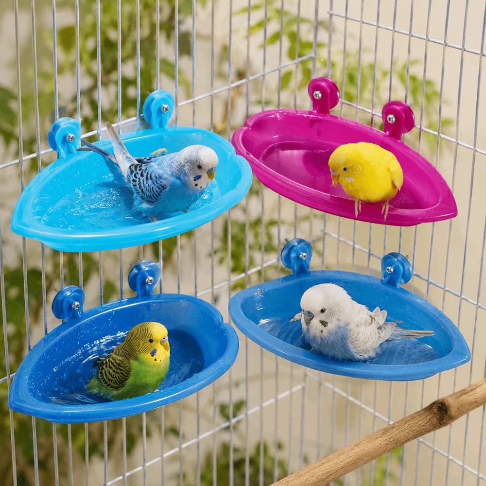 Multifunctional Bird Bath Shower Durable Swimming Pool Parrot Bath Basin Large Capacity Food Box Bird Drinking Bowl Pet Toys