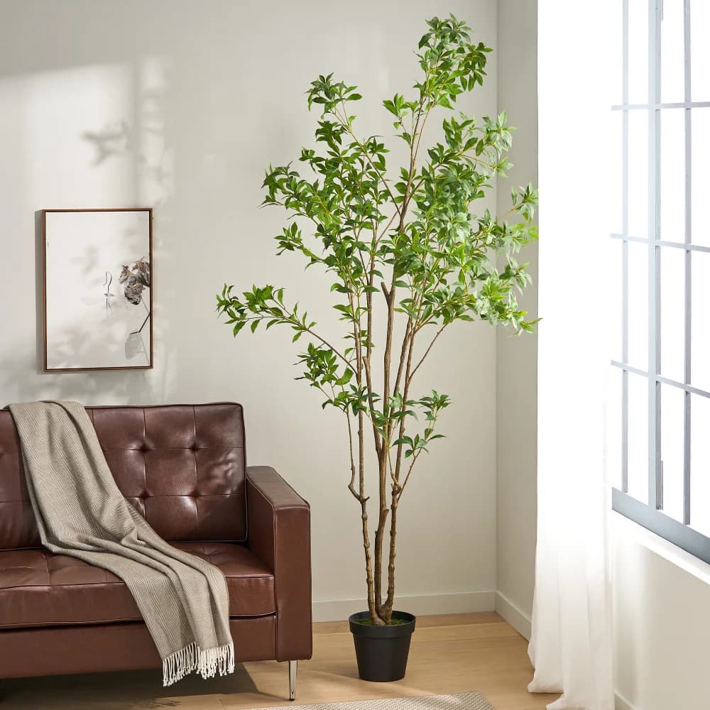Albero di Pieris Artificiale Realistico 240CM, Pianta Finta di Pieris per Casa, Giardino, Ingresso, Patio, Uso Interno ed Esterno