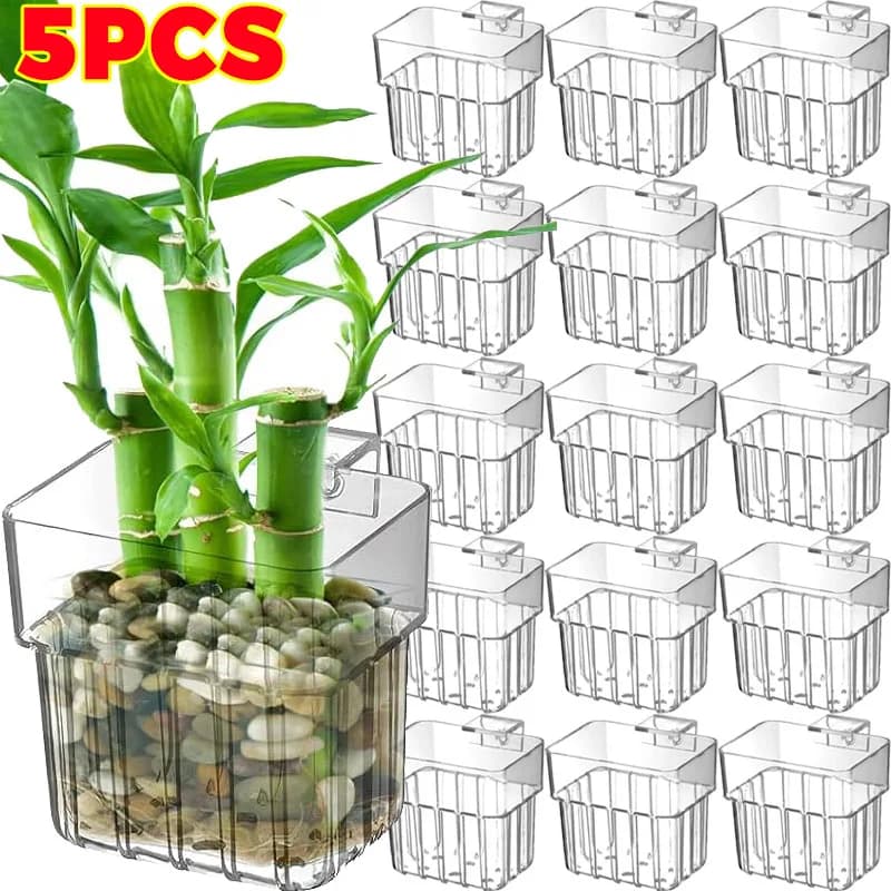 1/5pcs Aquarius Decoration Plant Tazza Transparent Aquari Decorations Wallet Box Water Grass Tazza Aquarium Decor Fioriera