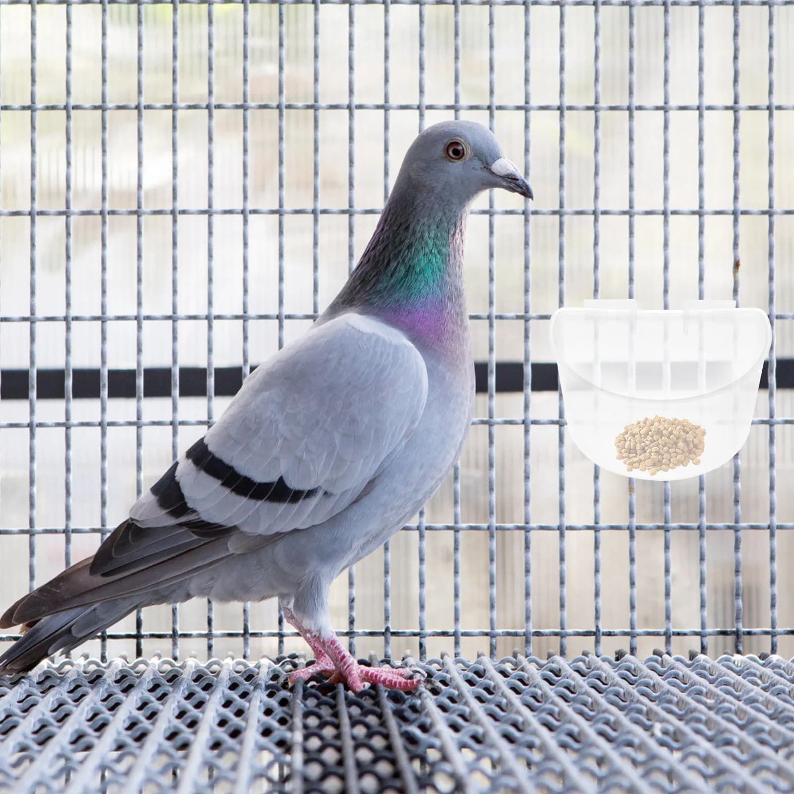 10Pcs Plastic Hanging Pigeon Feeder Cup Multi-Use Bird Food Water Sand Container Anti-Spill Wear Resistant for Cage Parrot