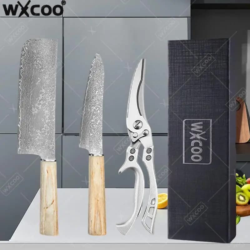 WXCOO Coltello da taglio per chef in acciaio di Damasco Coltelli da cucina professionali giapponesi 67 strati Verdure Coltello da frutta Strumenti di cottura