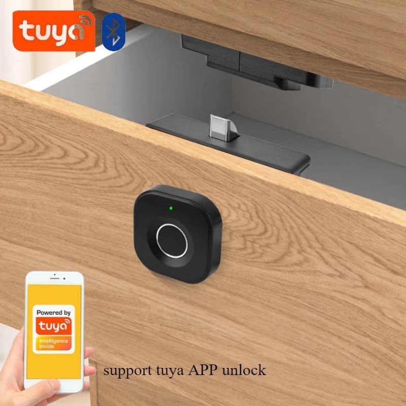 Tuya Smart Fingerprint Lock Serratura biometrica per cassetti Impronta digitale Tuya APP Sblocca serratura intelligente per armadietto con cassetti