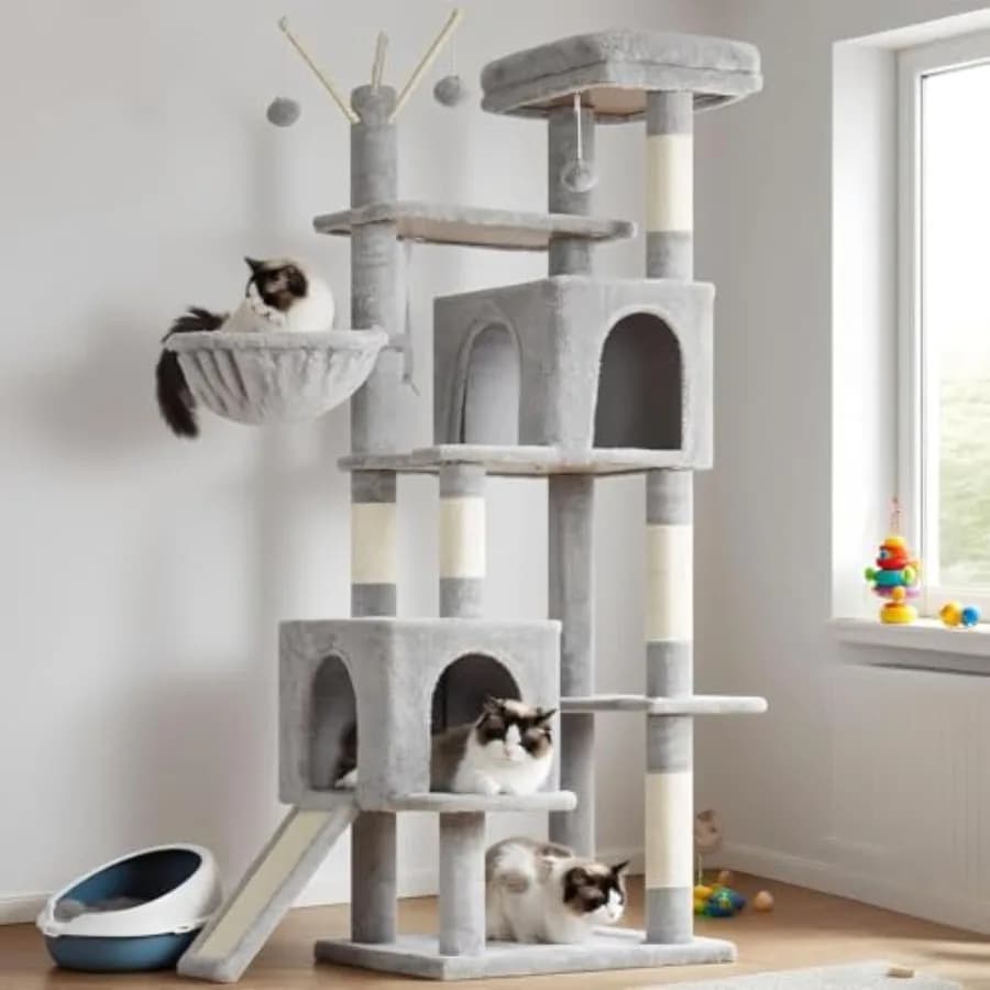 Albero per Gatti con Piattaforma, Grande Cuccia, Amaca, Giocattoli Rimovibili, Tiragraffi, Arredamento Multilivello per Gatti da Interno 59.0 o 72.0