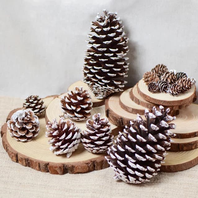 Decorazioni Natalizie con Pigne Bianche e Fiocchi di Neve, Fiori e Frutti Secchi per Albero di Natale e Arredamento Soggiorno