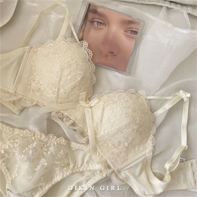 Reggiseno/intimo Intimo di pizzo ricamato Reggiseno con ferretto senza fili Comodo set di reggiseno di raccolta Set di reggiseno di pizzo
