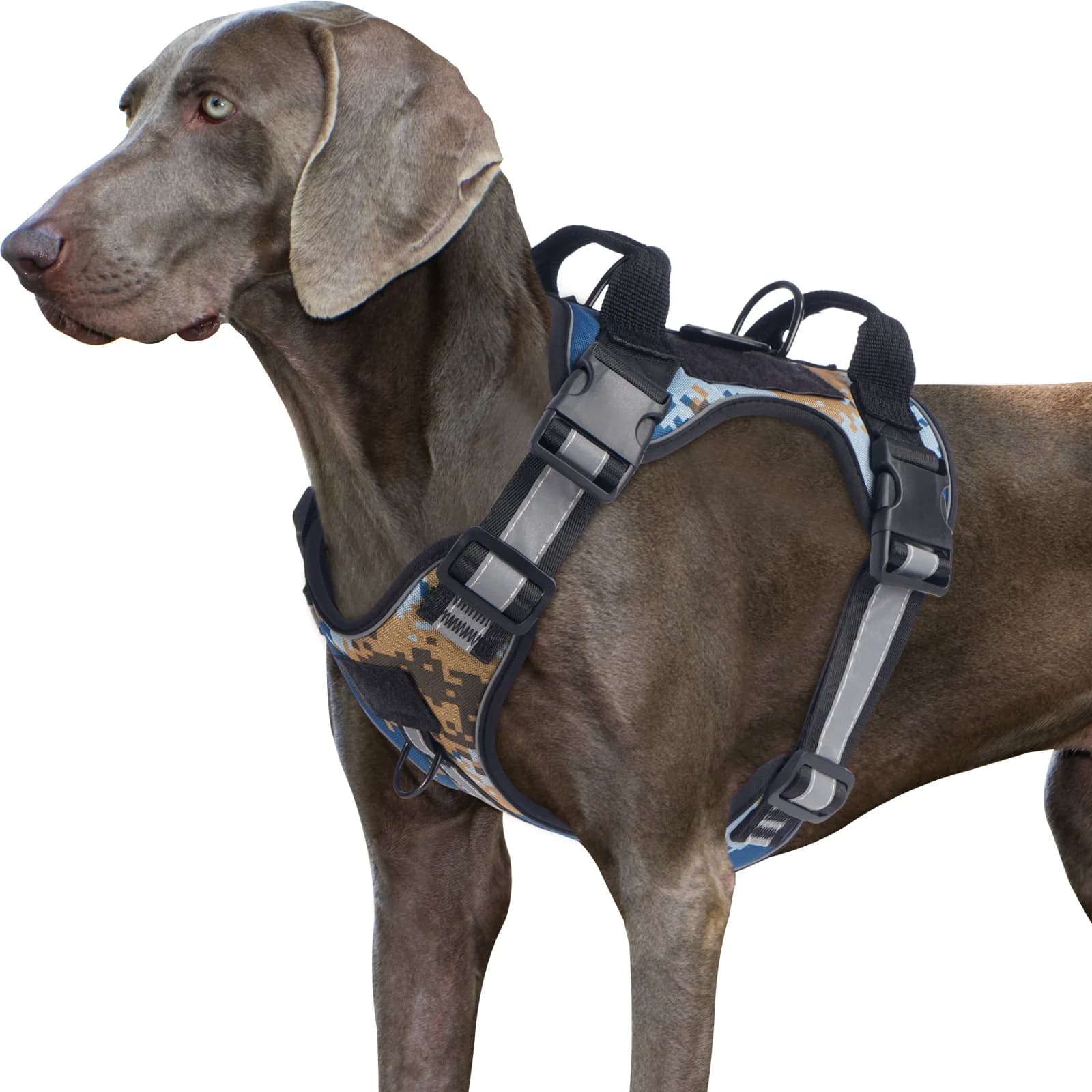 Set guinzaglio per imbracatura per cani riflettente senza tiraggio per cani di taglia media e grande – Gilet regolabile in nylon traspirante per passeggiate all'aperto