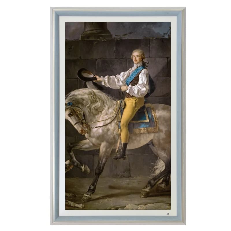 Portafoto Elettronico NFT, Album Crypto, Cornice per Galleria d'Arte, Display Pubblicitario da Parete, Segnaletica Digitale con Schermo Touch