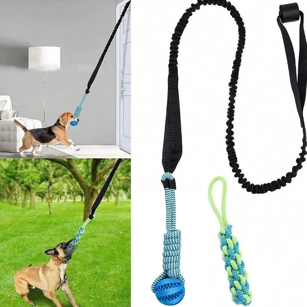 Giocattolo Interattivo per Cani, Corda da Masticare Resistente per la Pulizia dei Denti, Kit per Uso Interno ed Esterno