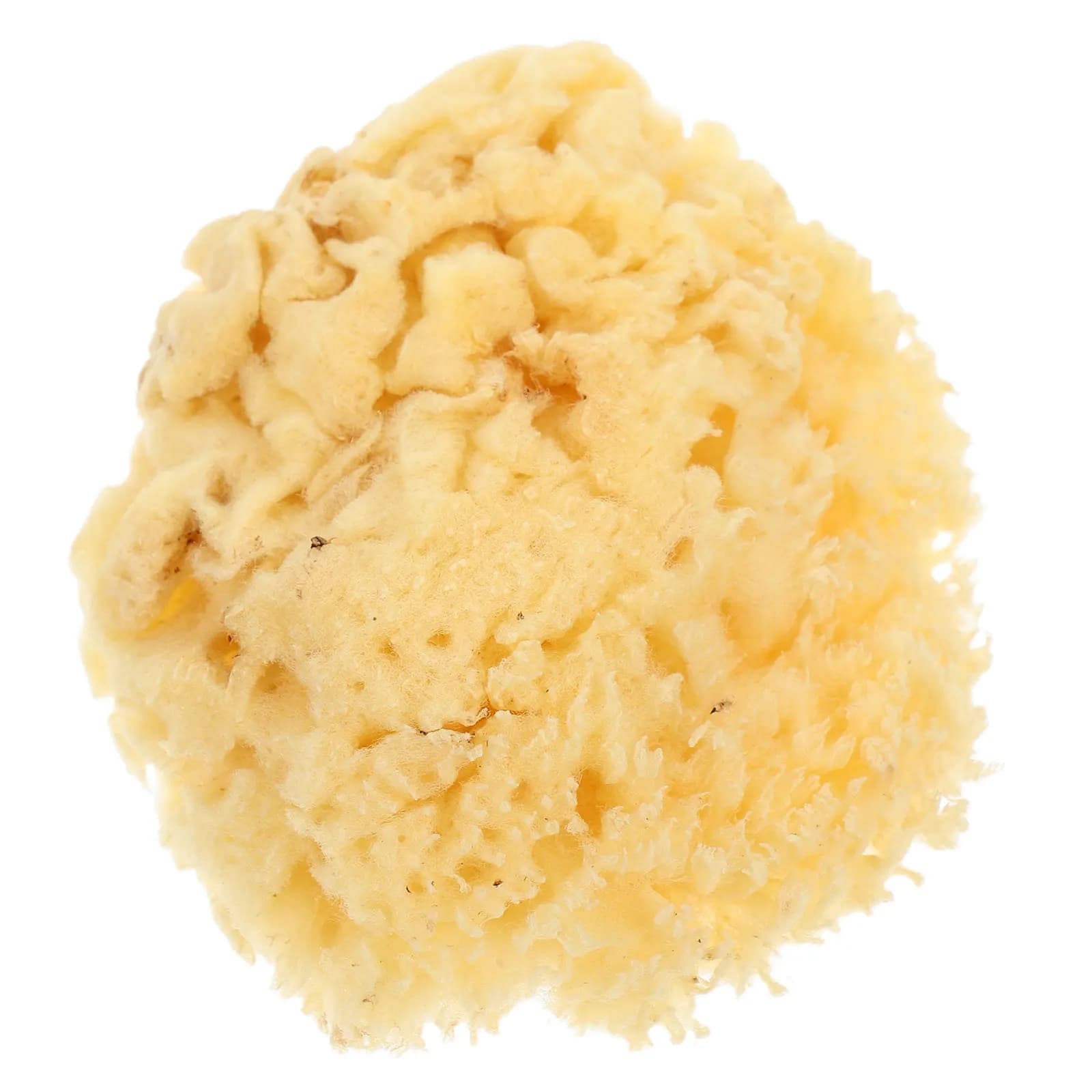 Natural Sea Sponge Soft 2.0-2.5 Inch Painting Tool Watercolor Texture Sponge Art Supplies for Professionals