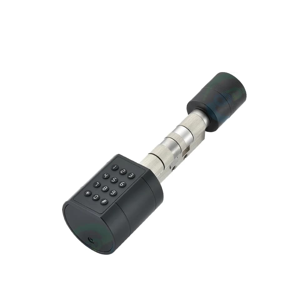 Tuya TTlock 60mm Nero Digitale Ovale IC Card Impronte Digitali Sblocco Smart Lock per Porte in Acciaio Anti-Polvere Rete WiFi Dati Cloud