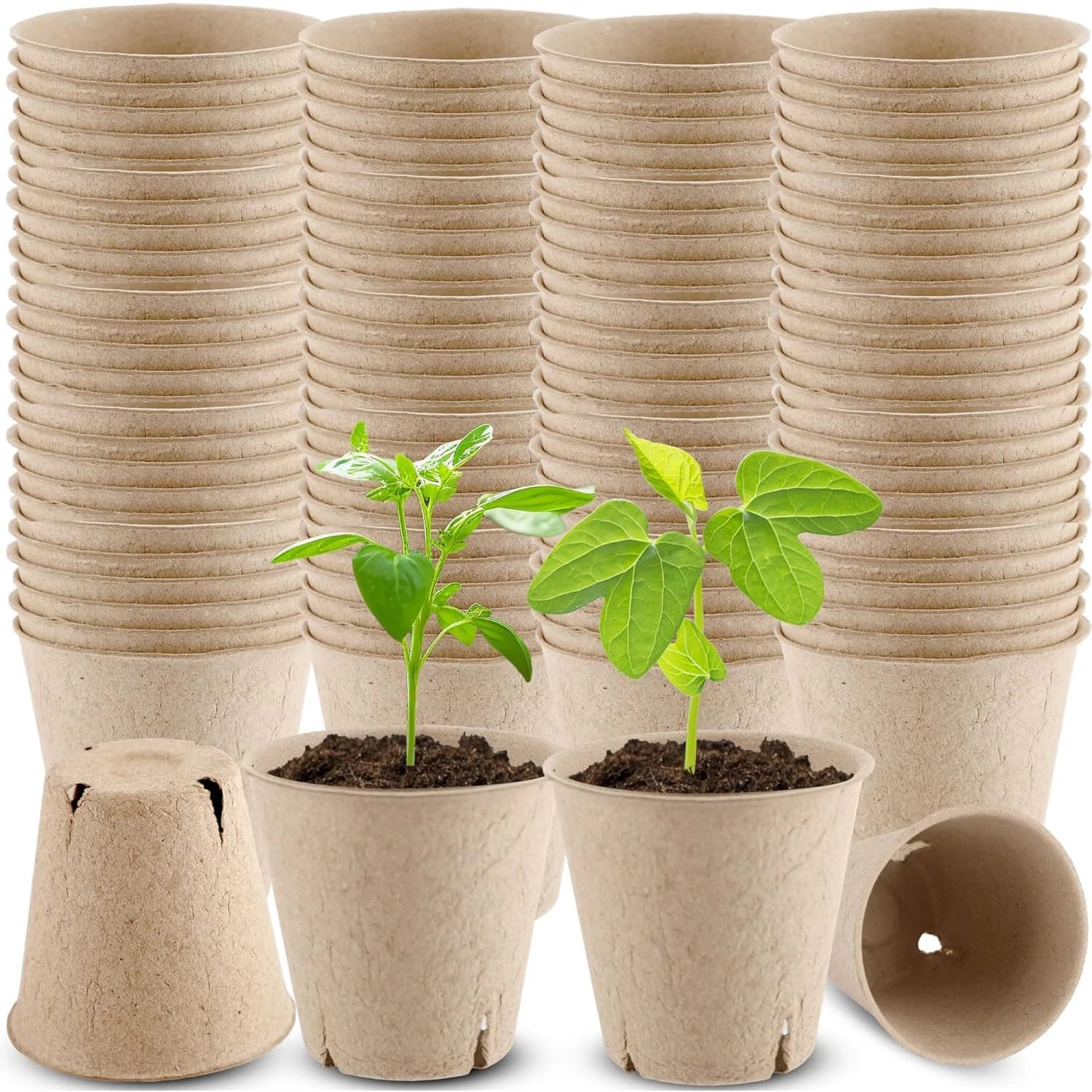 Vases for Semenzai in Biodegradable Torba, Vegetal Polpa Card Planters, Semi Germination Trays, Ecological Kit for Booting