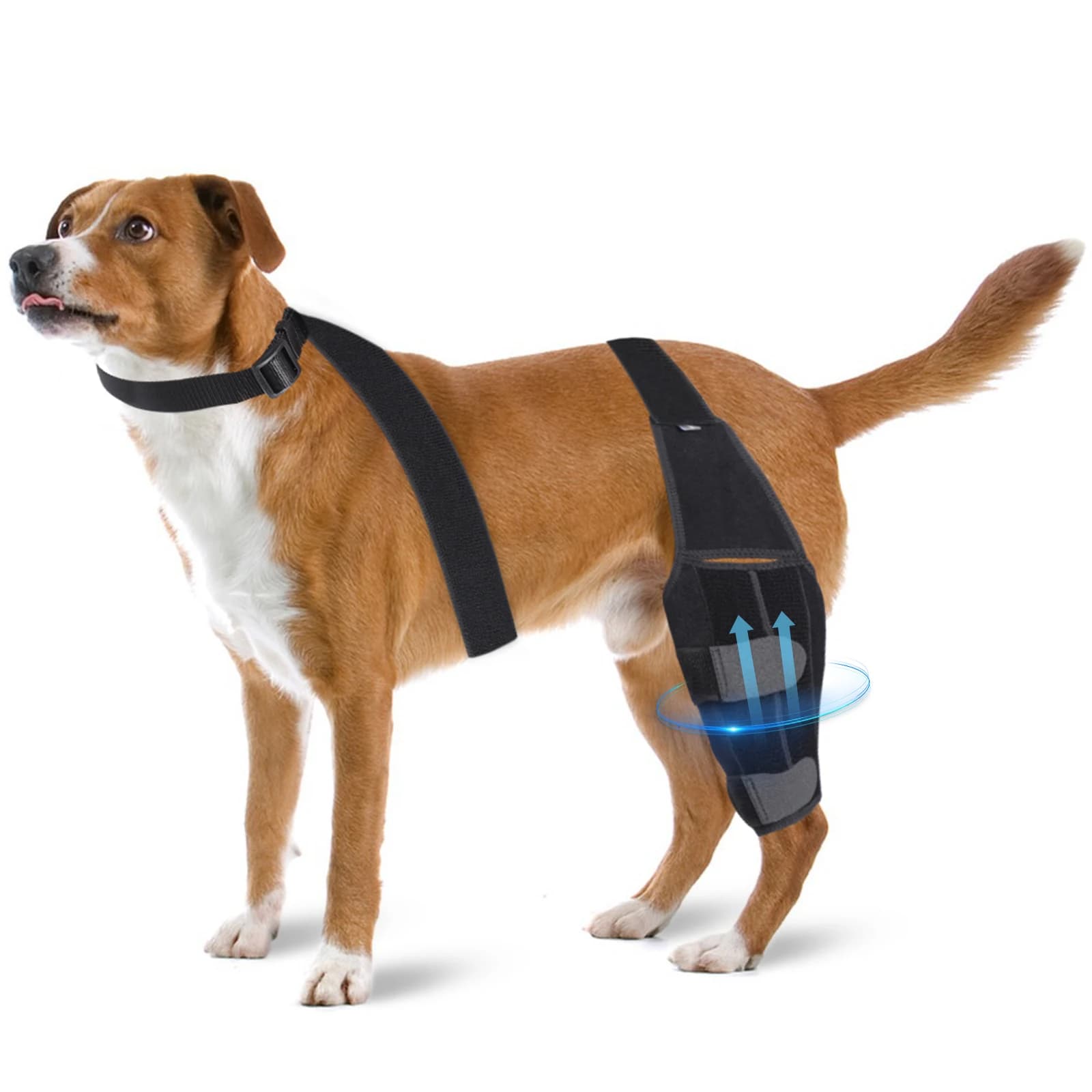 Supporti Regolabili per Ginocchia di Cani, Cuscinetti Protettivi, Fasce di Supporto per Articolazioni delle Zampe, Accessori per Cani