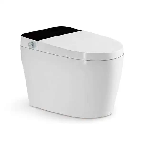 Smart Bidet Toilet Sanitary Ware Floor Mounted Electric Bathroom Smart WC Toilet Ceramic Intelligent Automatic Smart Toilet