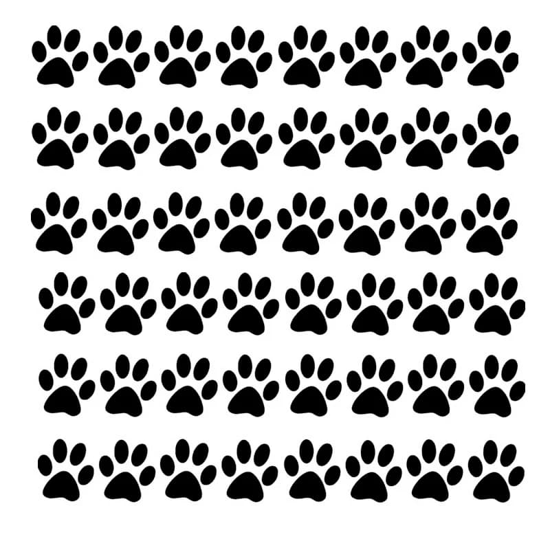 48PCS Paw Print Bundle Cat Dog Pet Prints Set Car Sticker accessori per automobili decalcomania in vinile per finestra wc Window,3.3 cm/pz