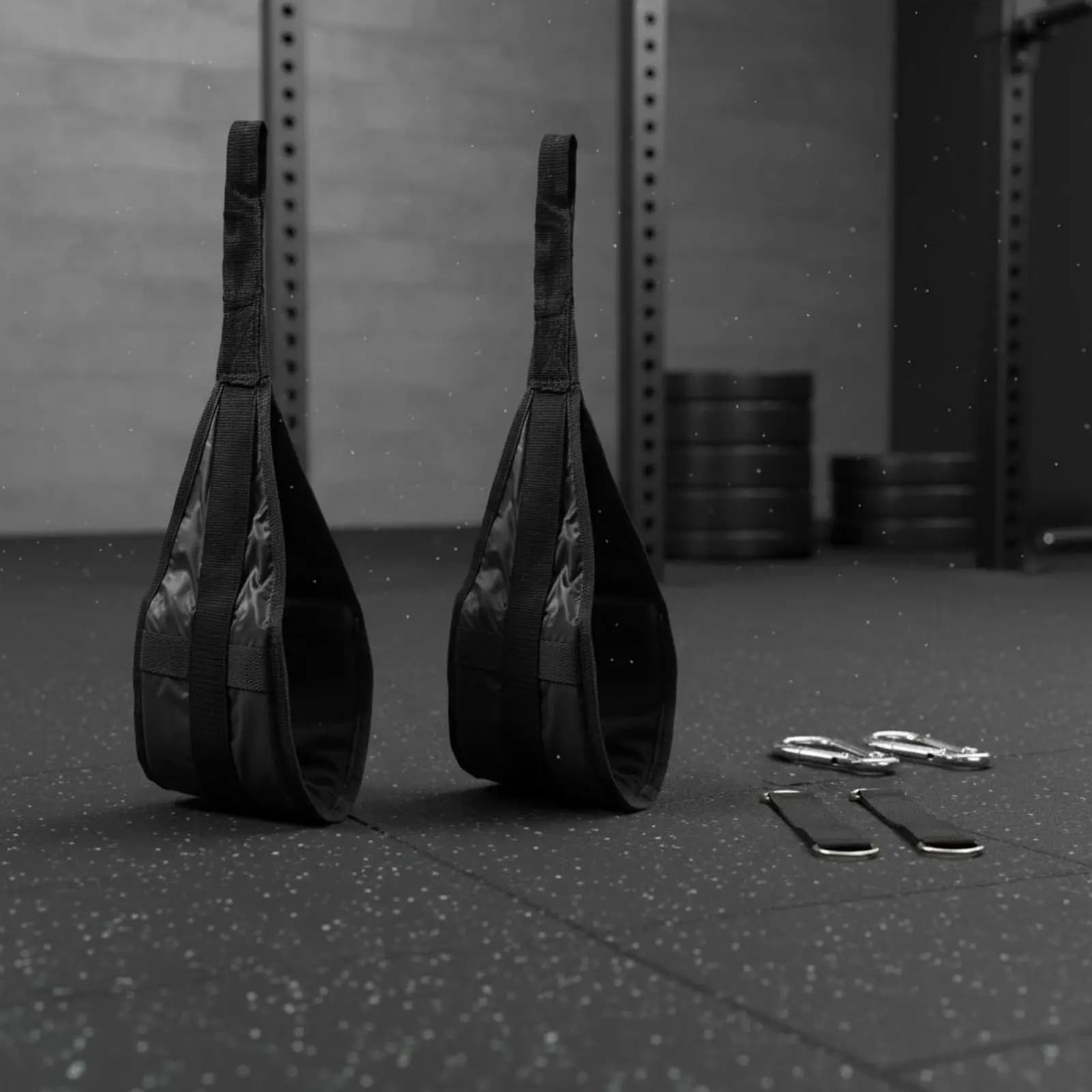 2 Pezzi Cinghie per Leg Raise e Addominali con Imbottitura Confortevole, Moschettoni Grandi in Acciaio, Supporto per Arti Superiori