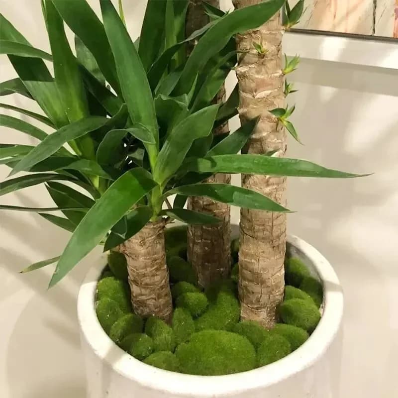 Simulated Musk, Vegetal Decoration, Artificial Musk Ball, Musk Background Walls, Creative Crafts for Decoration Flower Jars