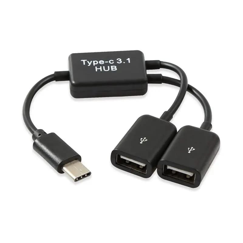 Tipo C OTG USB 3.1 maschio a doppio 2.0 femmina OTG Charge 2 porte HUB Cable Y Splitter