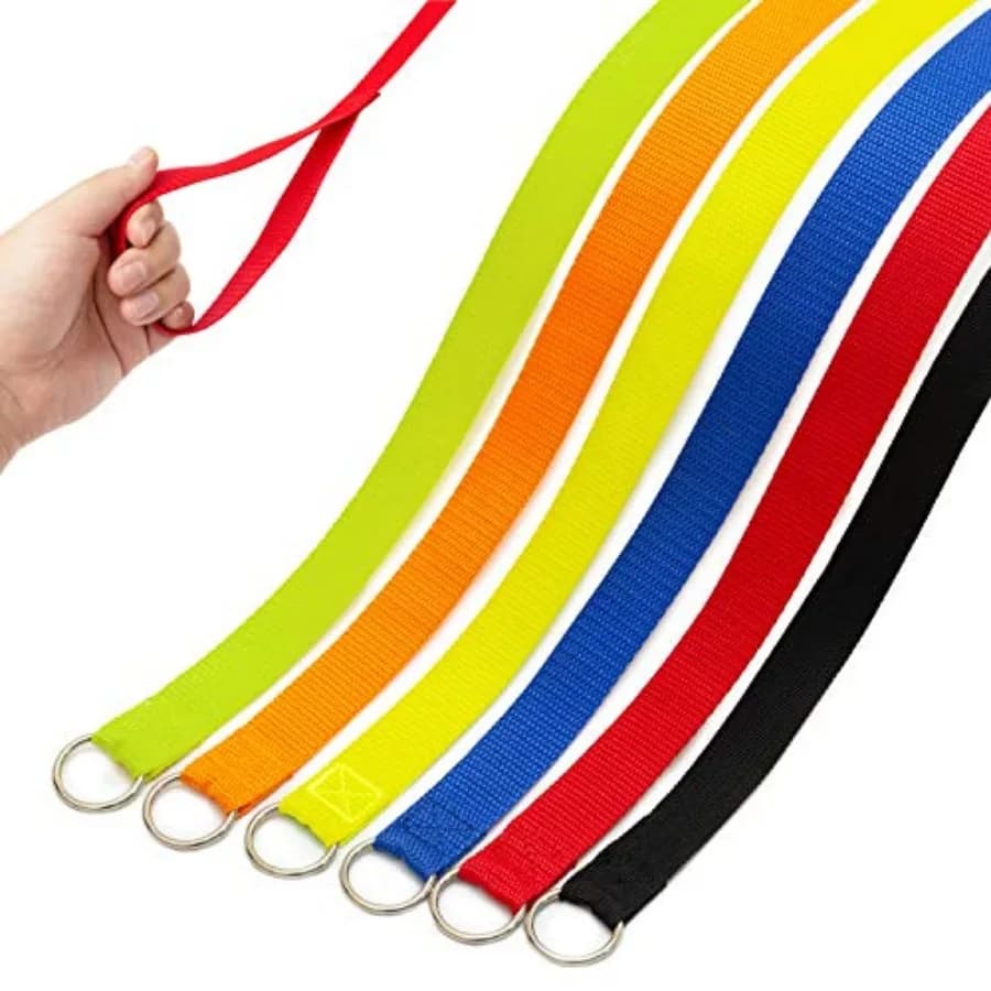 Slip Lead Dog Leash, Short Pet Leashes Slip Leads for Dogs Cats Grooming Shelter Rescues Walking Training, etc., 6 Feet Strong